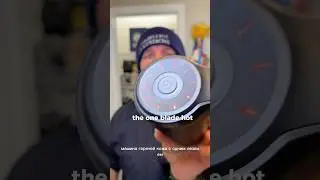The 