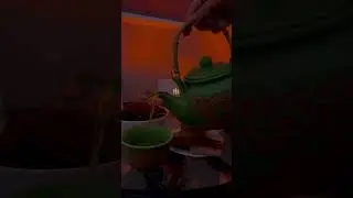 Эфирные масла для массажа #ароматерапия #массаж #врач
