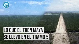 Tren Maya: Así se ve la devastación en el Tramo 5