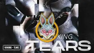 VovKing   Tears Mainframe