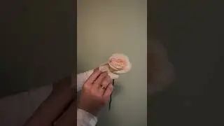 Самый простой способ вывернуть розу