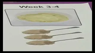 INFANT FEEDING AT 6 MONTHS BRIAN MASYA