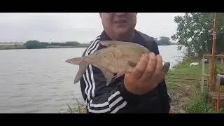 На рыбалку с Серёгой в Июне на базу Пластуны
