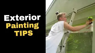 Exterior Painting & Maintenance Tip: Trim Branches To Allow Airflow - Trusted House Painter