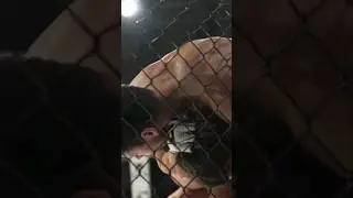 Phenomenal Rear Naked Choke Wins World Championship and Sub of Year