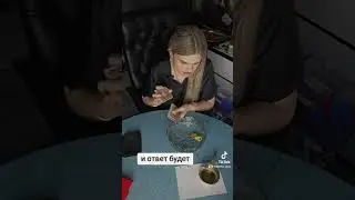 Запись на консультацию по вотс ап +79882420519