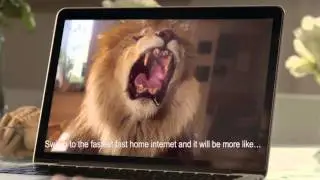 VIP super brzi internet