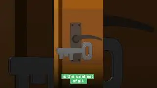 Major problems and simple solutions | Animation #problems #animation #islamicshorts #shorts