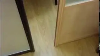 Межкомнатные перегородки