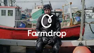 How To Save Our Blue Planet From Overfishing