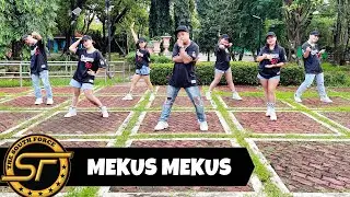 MEKUS MEKUS ( Dj Kent James Remix ) - Mr. Nobodydudy | Dance Trends | Dance Fitness | Zumba