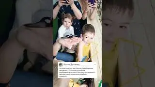 Дом бабочек Миасс отзывы