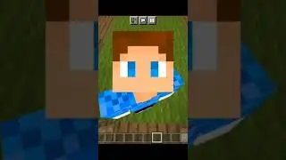 Когда позвали гулять, а мама не выпускает в Minecraft @titwow