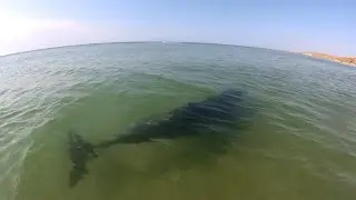 МОРЕ...   СОЛНЦЕ... ТИШИНА...