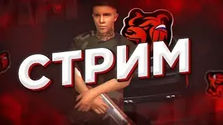 ИГРОВОЙ СТРИМ|| Black Russia RP