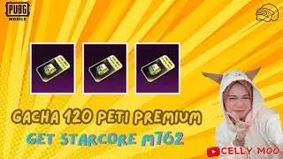 GACHA 120 PETI PREMIUM | PUBG MOBILE