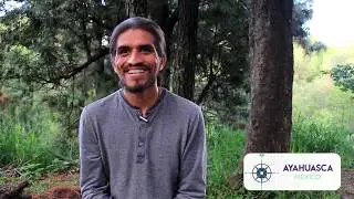 Estar listos para la curación con la Ayahuasca