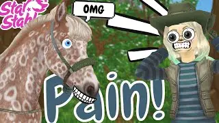 All Of Your Star Stable Pain in One Video! || Star Stable Online