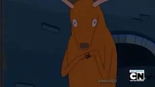 oh deer
