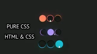 PURE CSS | Option Animation using HTML and CSS