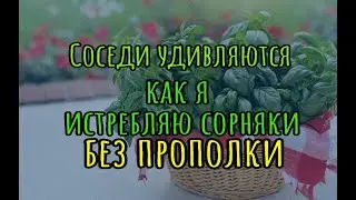 Соседи удивляются как я истребляю сорняки без прополки