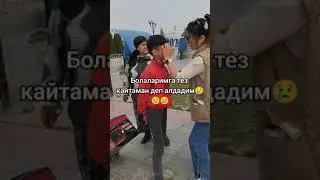 Мусофир она дарди