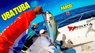 PEGAMOS MUITA ANCHOVA E OLHO DE BOI NESSE PARCEL | Pescaria no Mar.