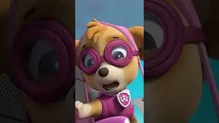 天天在飞机撞毁前神救援韓丁納市長！🤩 - #PAWPatrol #Shorts 兒童卡通