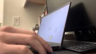 Penis
