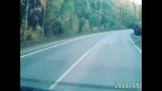 Лось