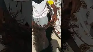 قريبا ..#shorts #بوجلود_2022 #bojlod #maroc #amazigh #kanzonvlogs #بوجلود