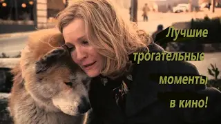 Лучшие ТРОГАТЕЛЬНЫЕ моменты в кино!