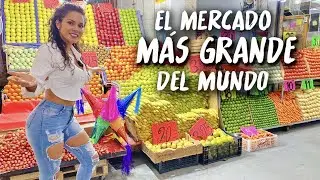 Así es EL MERCADO MÁS GRANDE DEL MUNDO Central de Abasto en la CDMX México I Brenda Catalán