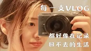 20 情绪低落的一天｜抱抱两只小猫｜给自己买了🎄礼物｜出去吃了顿烤肉｜最近读的书：伍迪艾伦《毫无意义》《暮色将尽》