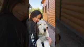 ПЛЮСЫ АЛАБАЯ ! 