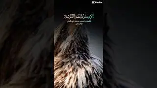 اطمینان و سکون صرف اللہ کی یاد میں