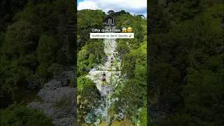 🥹🍃Hortênsias em Gramado e Canela