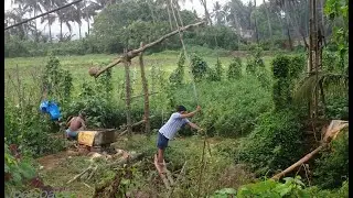 Laat or Shadoof water lifting irrigation