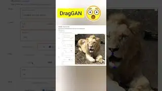Drag GAN | Drag your GAN 