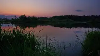 оз. Борное. Сельцы.