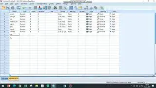veri girişi spss