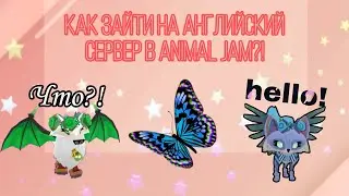 Как перейти на английский сервер в Animal Jam