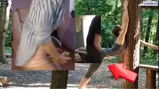 ТАКОГО ВЫ ЕЩЁ НЕ ВИДЕЛИ !!! |Топ Моменты с Twitch