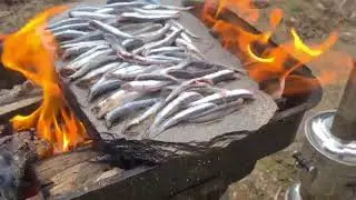 Kayada Hamsi Pişirme