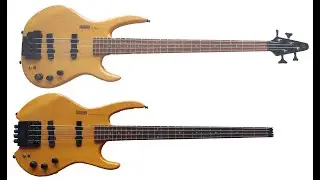 Hohner Bbass vs The Jack Custom bass