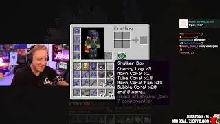 An accurate description, Tubbo.