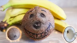 Как Открыть Кокос? Проверенный Способ! Лайфхаки своими руками! Как Очистить Фрукты//Coconut