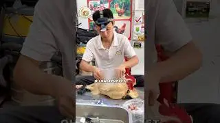 Зачем кастрируют петушков? 