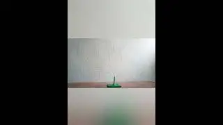 Лепка из пластилина Горохострел.