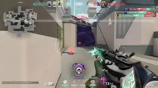 Spray transfer Skye Split | VALORANT